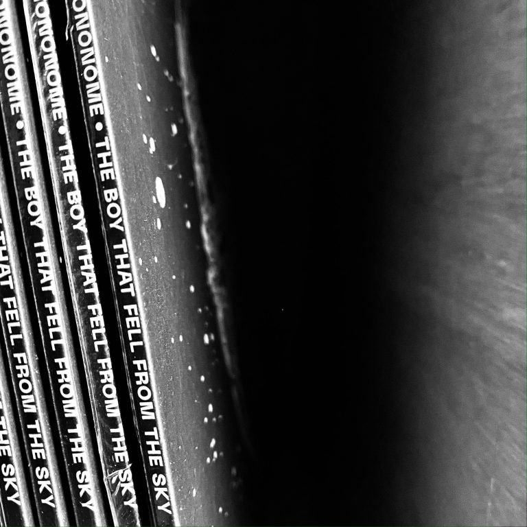 Vinyl records on the shelf
