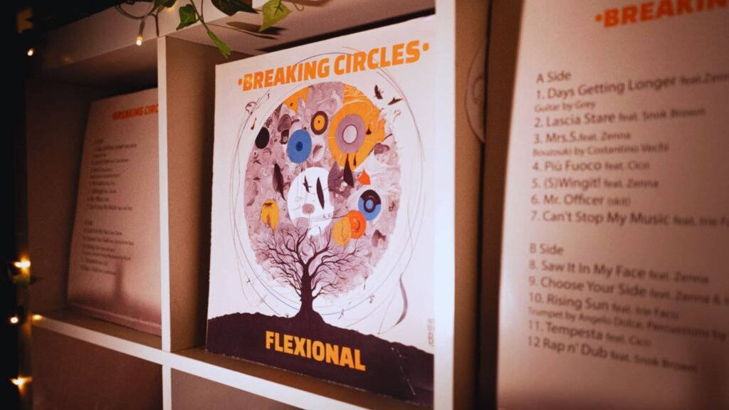 Flexional Breaking Circles vinyl front and back covers on a shelf with plant above