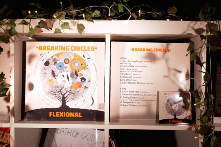 Breaking Circles vinyl displayed with front and back covers on shelf with plant above